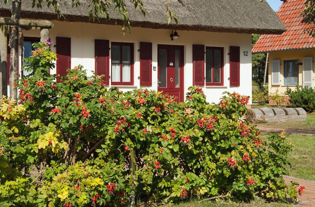 Duenenresidenz Glowe - Haus Luisa Ngoại thất bức ảnh